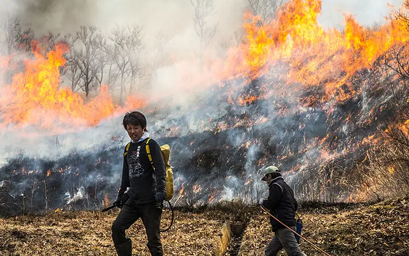 野焼き